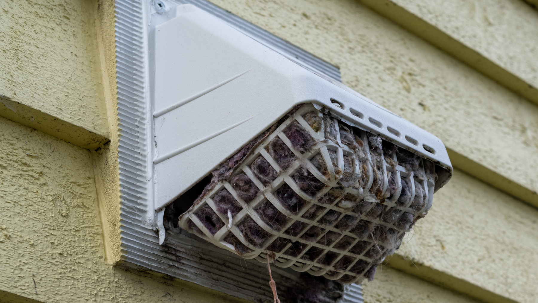 dryer vent outdoor dryer vent outdoors